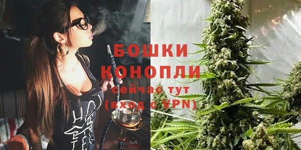 соль ск Новодвинск